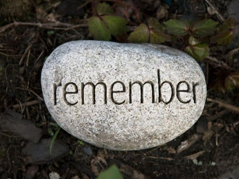 12 Dog Memorial Stones Under $40 to Remember a Pet
